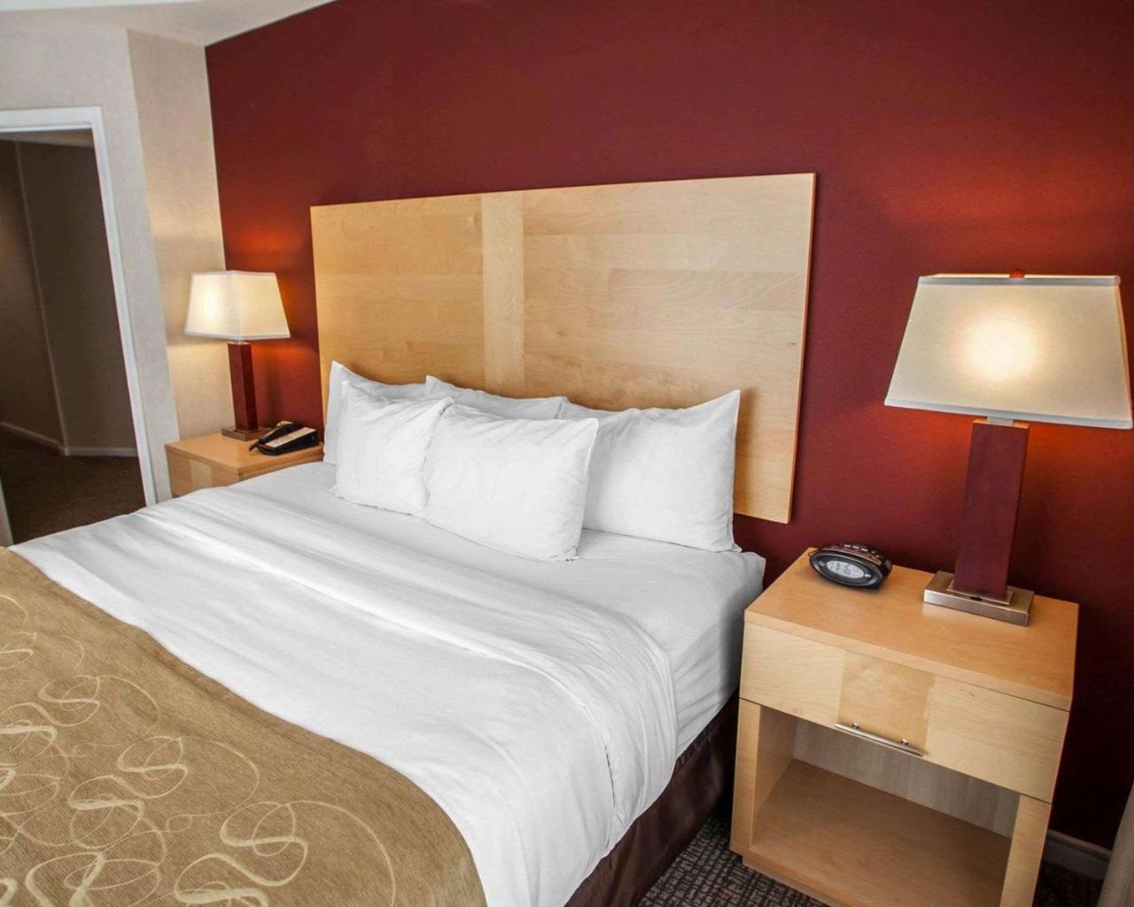 Comfort Suites Michigan Avenue Chicago Dış mekan fotoğraf
