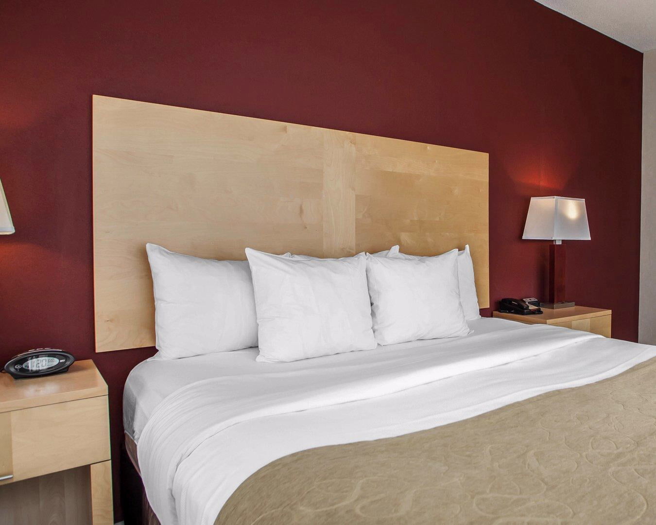 Comfort Suites Michigan Avenue Chicago Dış mekan fotoğraf