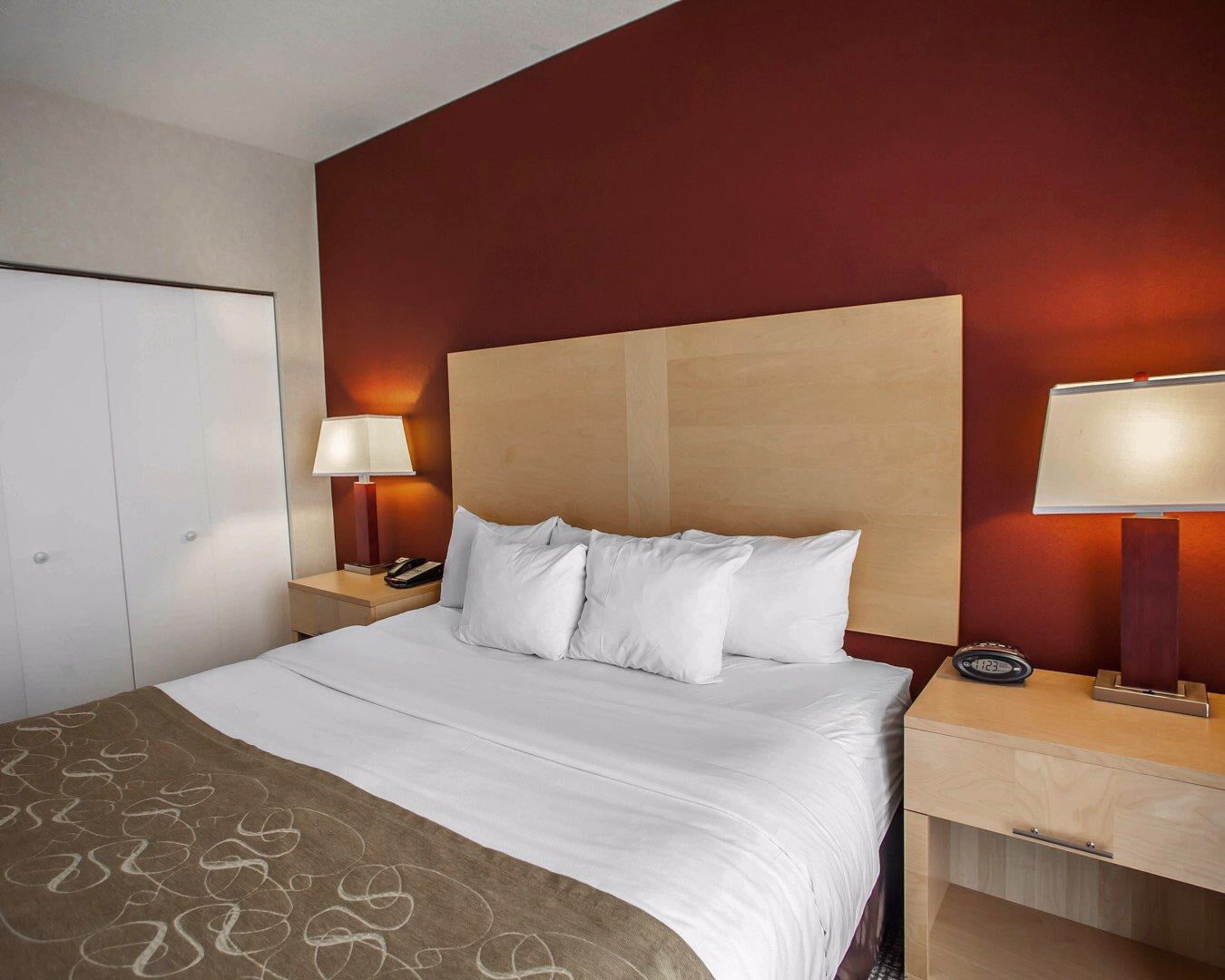 Comfort Suites Michigan Avenue Chicago Dış mekan fotoğraf